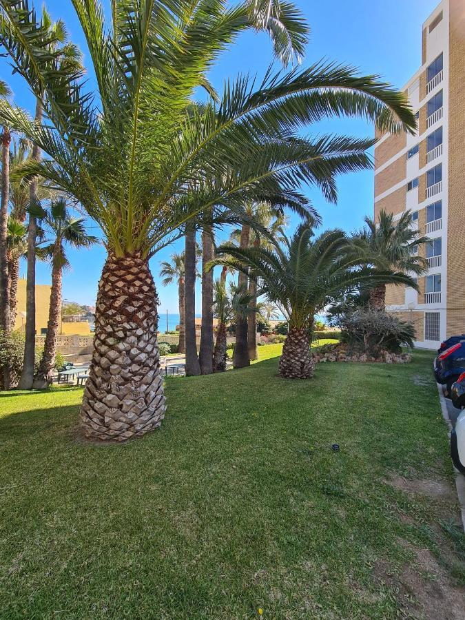 Room in Apartment - 1st line top floor apartment Carrer del Mar Buitenkant foto